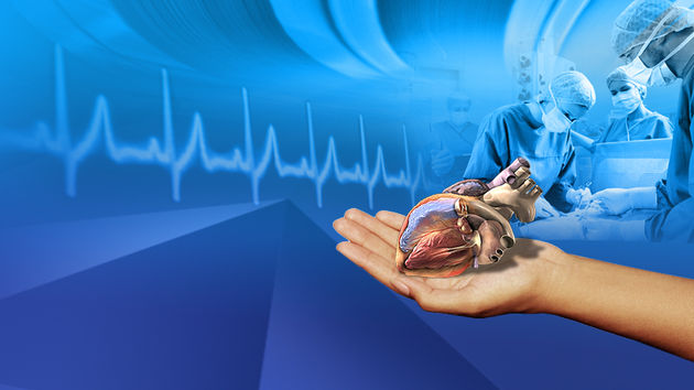 Slika /Vijesti/2016/darivanje-organa-13e482acb24acd10a19bd6dd4299b57b_view_article.jpg